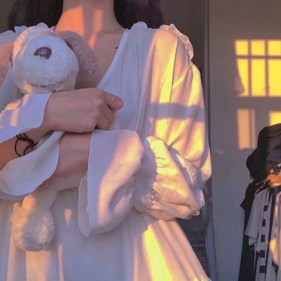 使徒 (阿根廷动画)